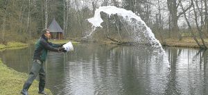 Nachhaltige Gewässersanierung im Einsatz - hier vom Ufer aus